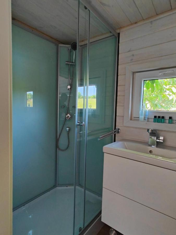 Tinyhousebeidresden 1 - Direkt Am Naturteich - Naehe Saechsische Schweiz, Dresden Großharthau Exteriör bild