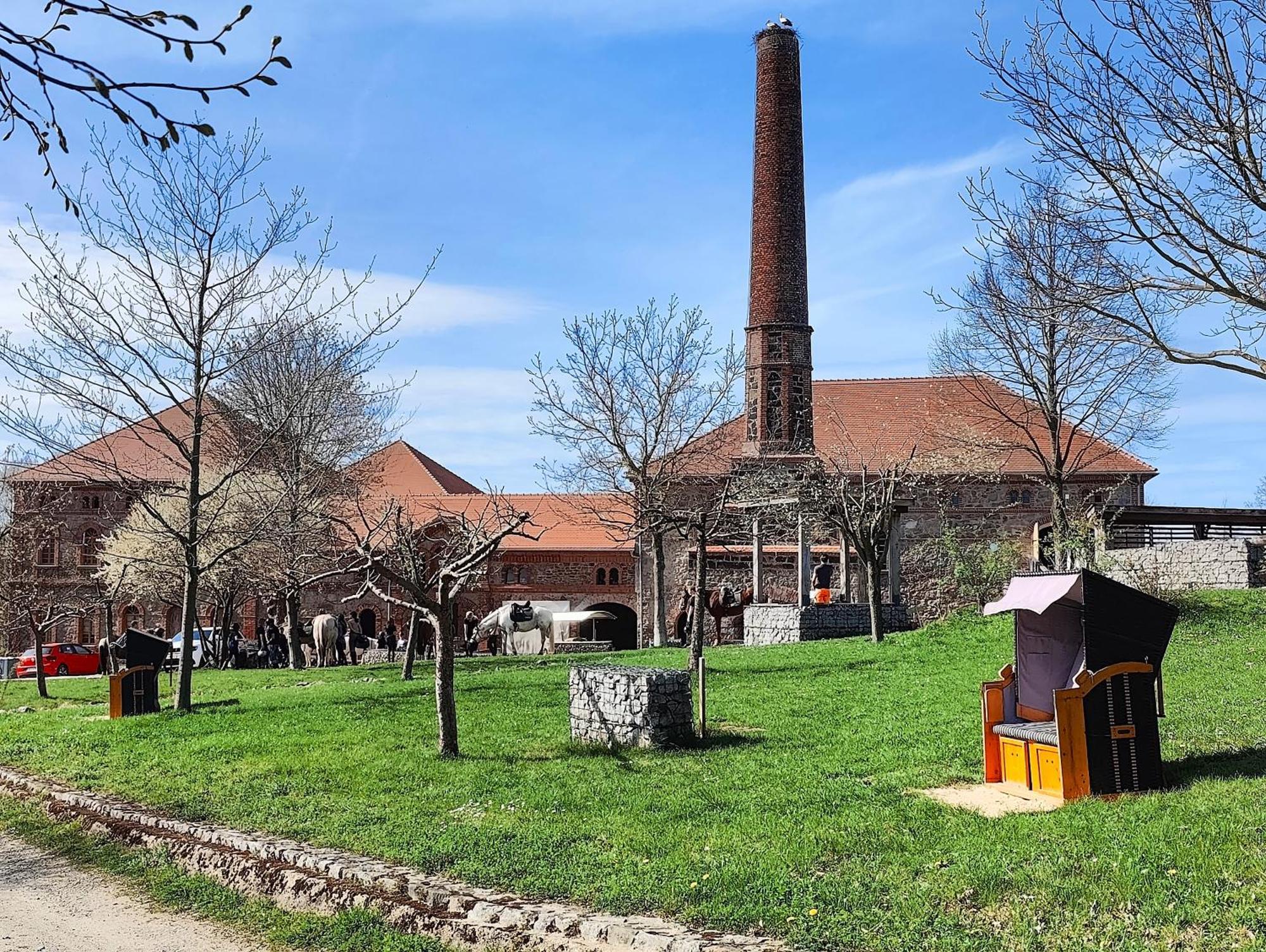 Tinyhousebeidresden 1 - Direkt Am Naturteich - Naehe Saechsische Schweiz, Dresden Großharthau Exteriör bild